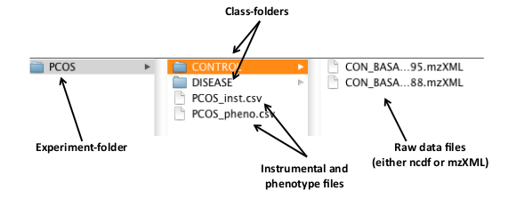 **Figure 1:** An example distribution of the raw data files and the class and experiment folders.